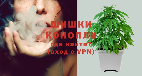 крисы Баксан