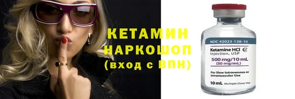 крисы Баксан