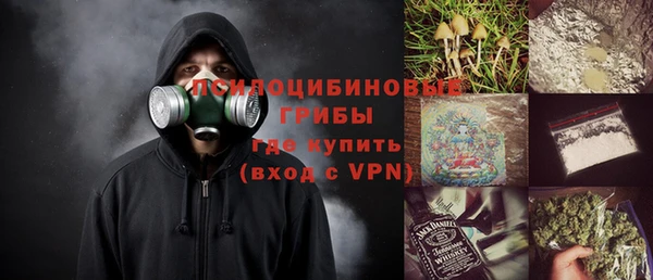 крисы Баксан