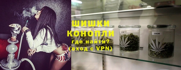 крисы Баксан