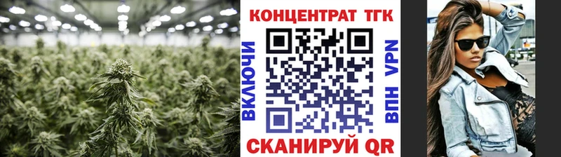 Дистиллят ТГК Wax  omg ТОР  Первомайск 