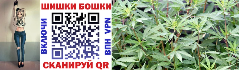Канабис OG Kush  Первомайск 